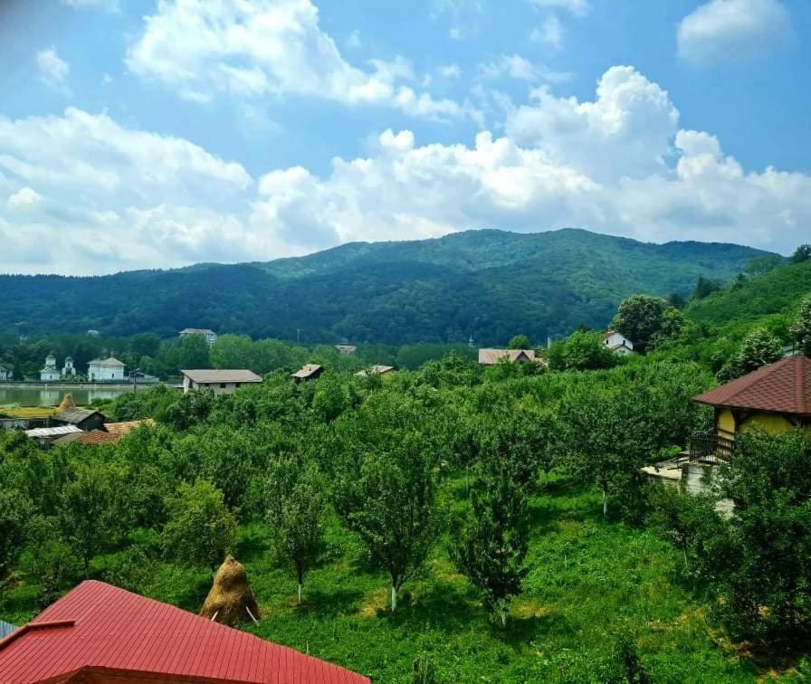 Vila Ostrov Hotel Călimăneşti Exterior foto